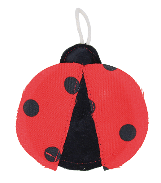 Coccinella - 'Be happy'