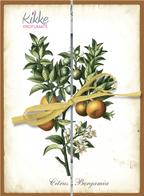 Espositore da banco - I Botanici