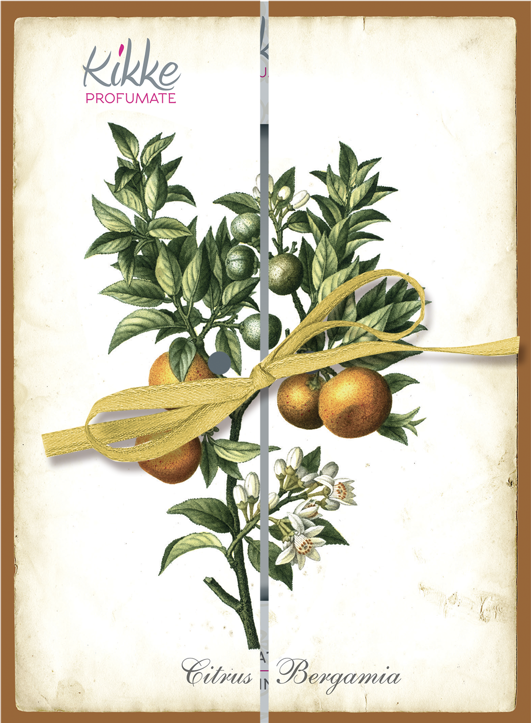 Espositore da banco - I Botanici