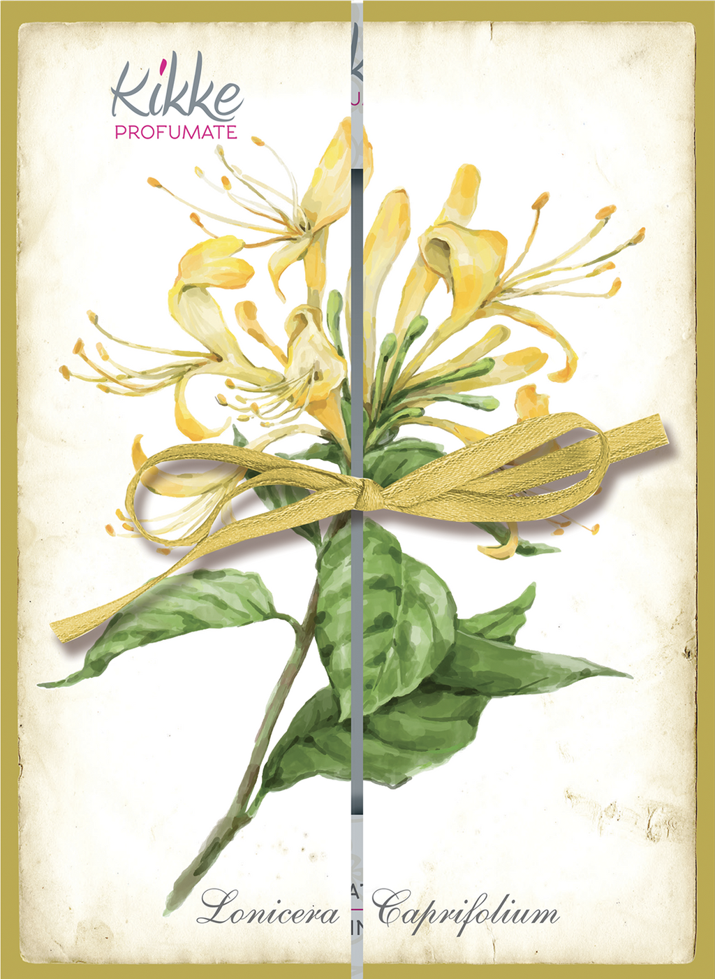 Espositore da banco - I Botanici