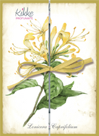 Espositore da banco - I Botanici