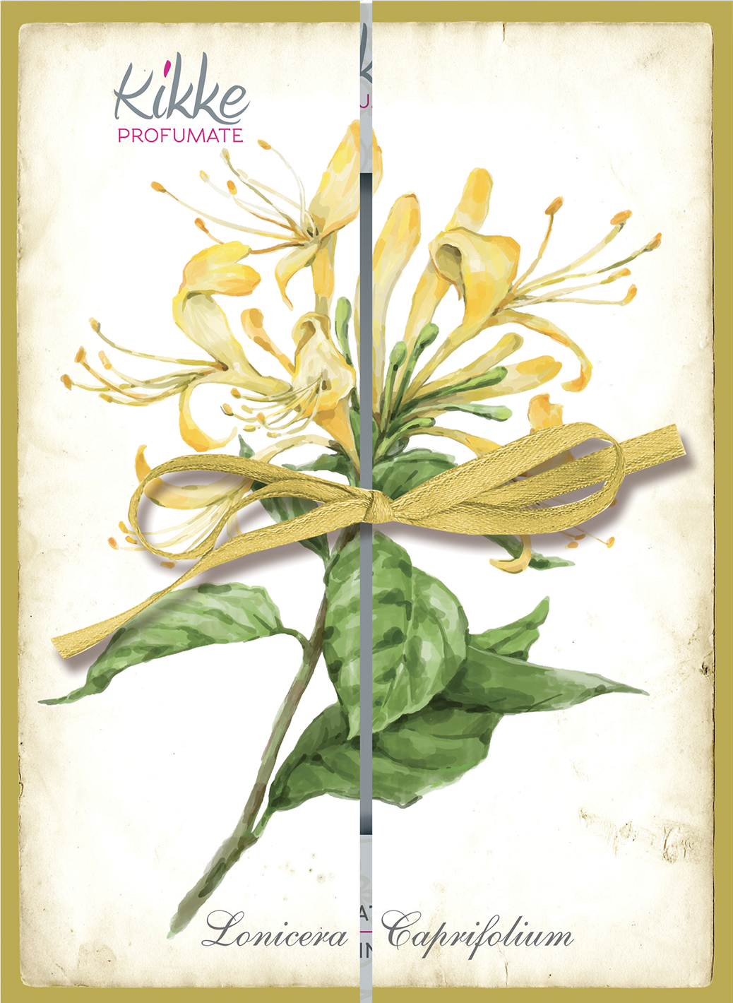 Espositore da banco - I Botanici