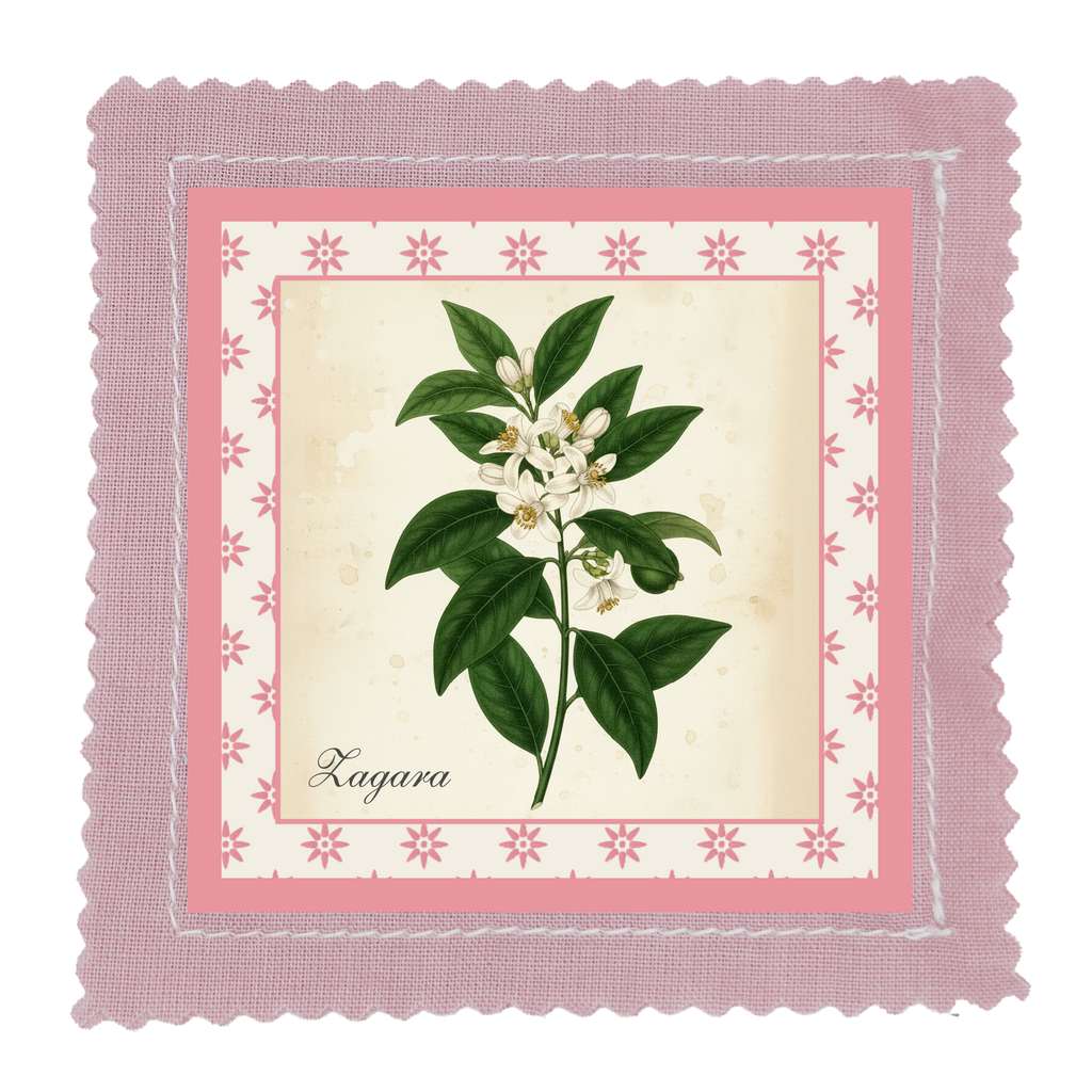 Espositore da banco collezione I BOTANICI - TAVOLE BOTANICHE - 24pz 4 soggetti