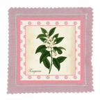 Espositore da banco collezione I BOTANICI - TAVOLE BOTANICHE - 24pz 4 soggetti