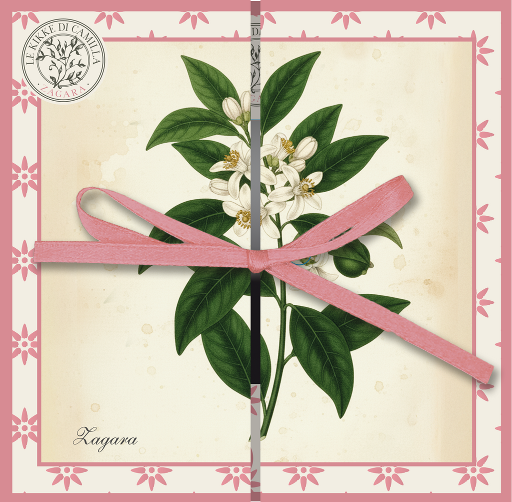 Espositore da banco collezione I BOTANICI - TAVOLE BOTANICHE - 24pz 4 soggetti