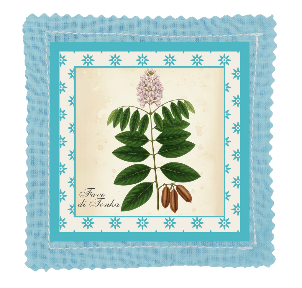 🌰✨Tavola Botanica-FAVA TONKA