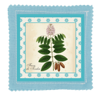 Espositore da banco collezione I BOTANICI - TAVOLE BOTANICHE - 24pz 4 soggetti