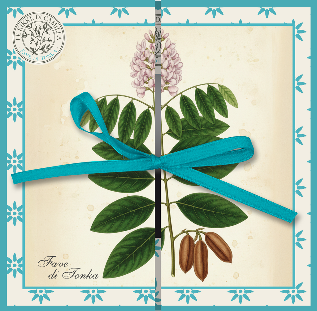 🌰✨Tavola Botanica-FAVA TONKA
