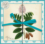 Espositore da banco collezione I BOTANICI - TAVOLE BOTANICHE - 24pz 4 soggetti