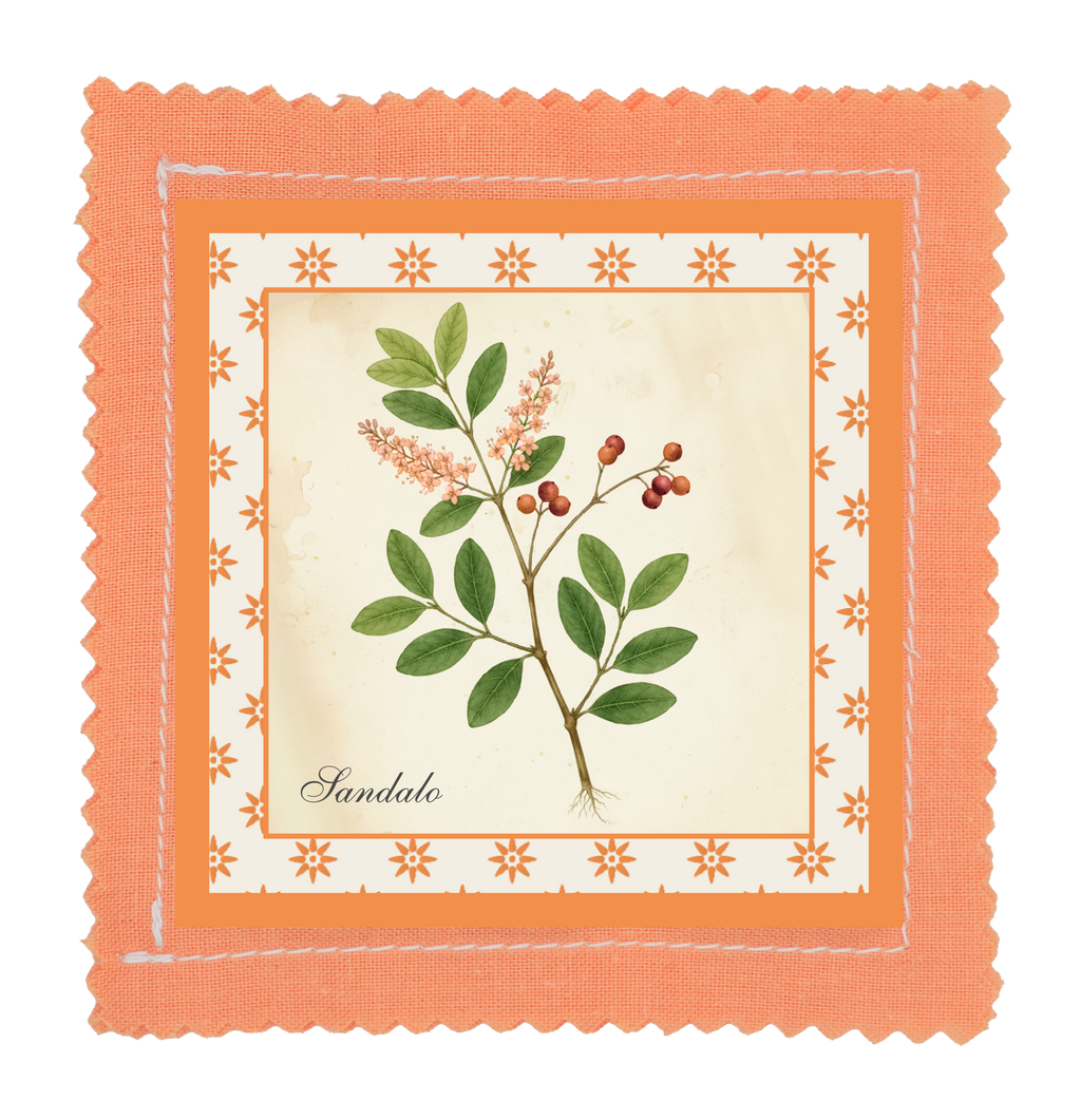 Espositore da banco collezione I BOTANICI - TAVOLE BOTANICHE - 24pz 4 soggetti