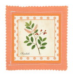 Espositore da banco collezione I BOTANICI - TAVOLE BOTANICHE - 24pz 4 soggetti